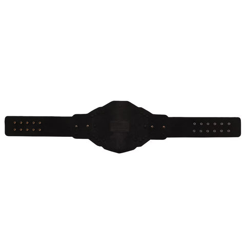 WWE NXT Championship 2024 Replica Title Belt